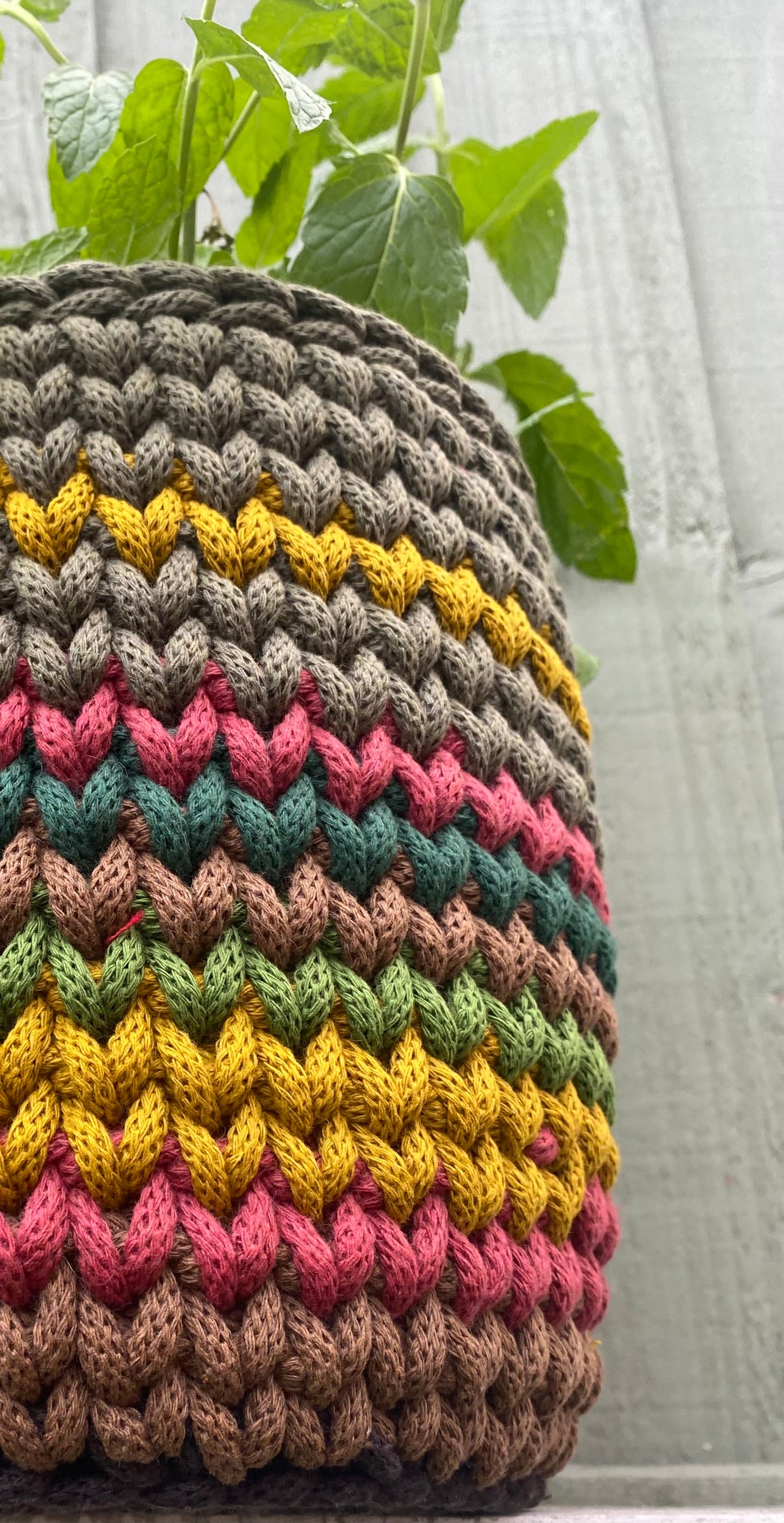 Lined planter 5 colour way
