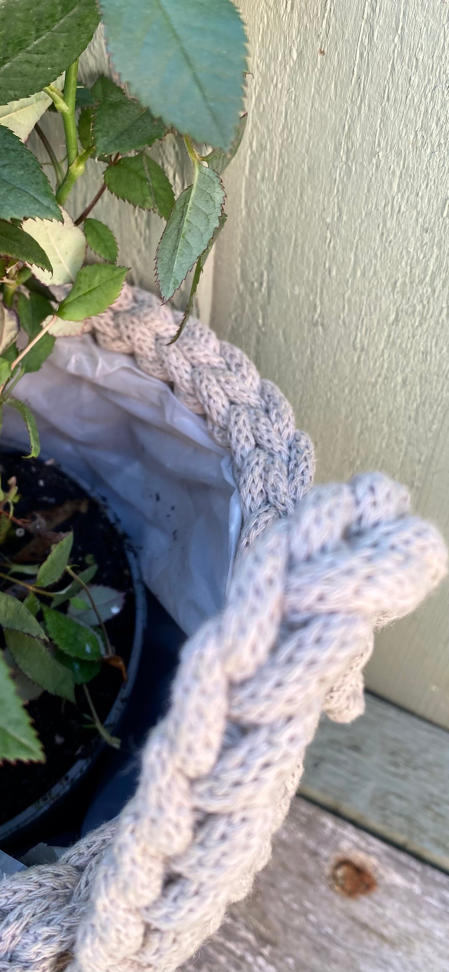 Lined Planters