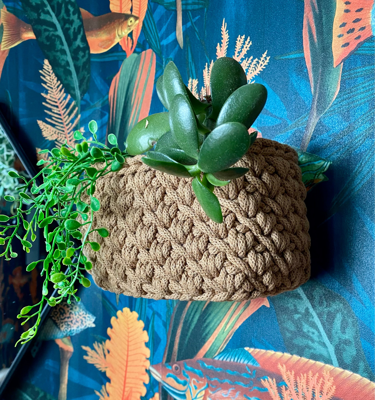 Crocheted plant pot with succulents on a colorful fish and coral background