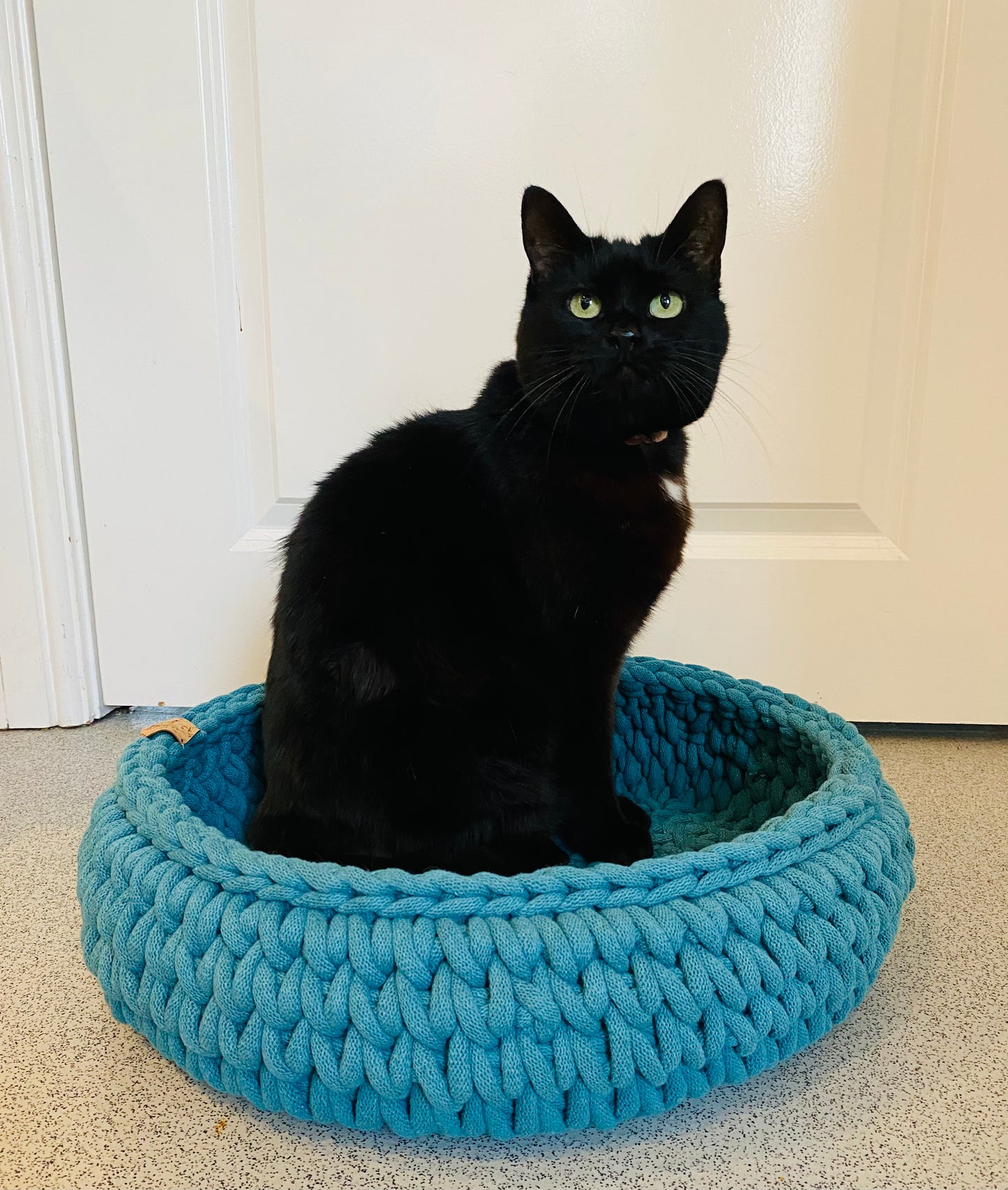 Pet bed