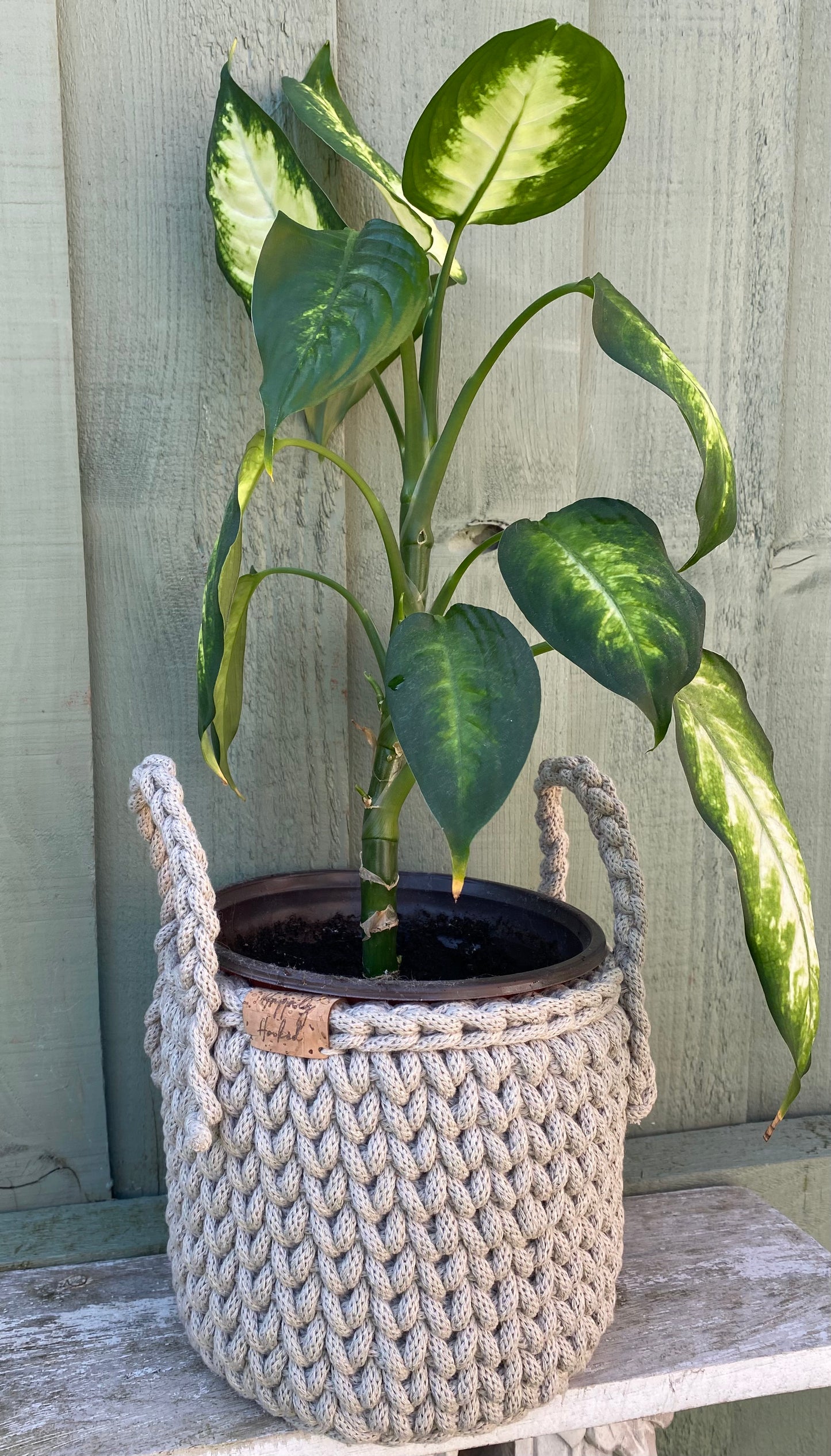 Lined Planters