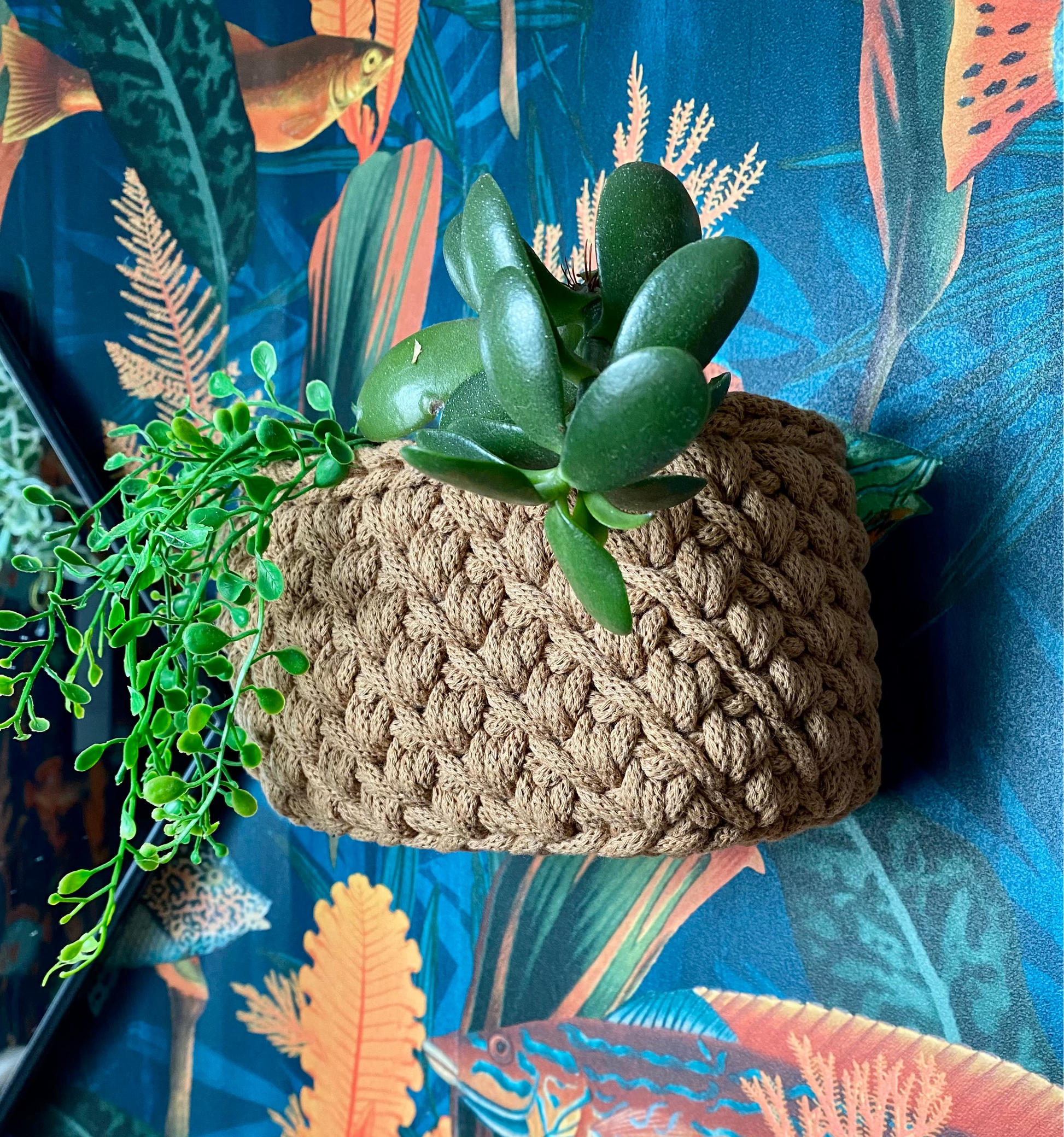 Crocheted plant pot with succulents on a colorful fish and coral background